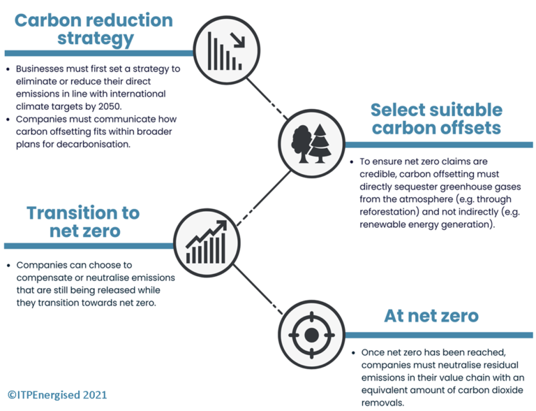 What Is Carbon Offsetting And How Can It Help Your Net Zero Objectives?